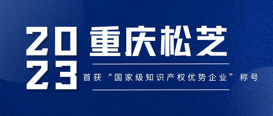 祝贺重庆松芝首获“国家级知识产权优势企业”称号